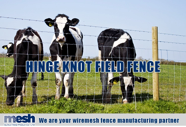 Electric Fencing Posts for Horses