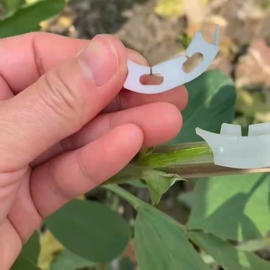 Accessori da giardino Morsetti di supporto per piante in plastica da giardino Morsetti per piante di pomodoro per lavorare con pali di bambù, gabbia per pomodori, traliccio